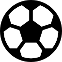 余彦进